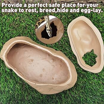 2025.7.25家守ヤモリ葉っぱ隠し　内モンゴル翡翠 Nearpin Mosquito | Duel Masters Wiki | Fandom